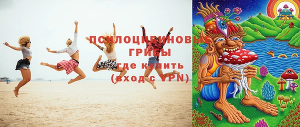 Альфа ПВП Долгопрудный