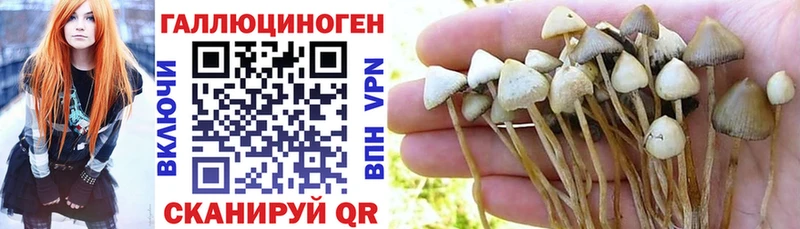 даркнет Telegram  Саратов  Псилоцибиновые грибы мухоморы 